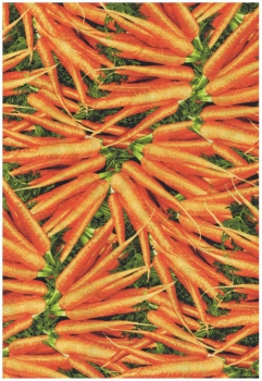 Farmers Market - Möhren - Kopie