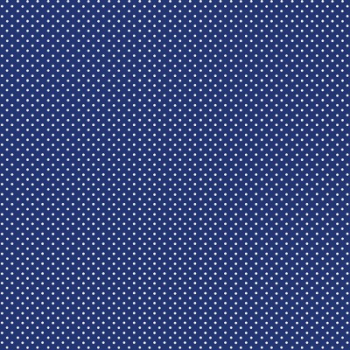spot white on navy