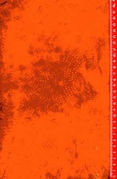 Princess Mirah Design Batik - Warm Brandy