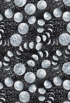 Mond und Sterne mit Silbergltzer