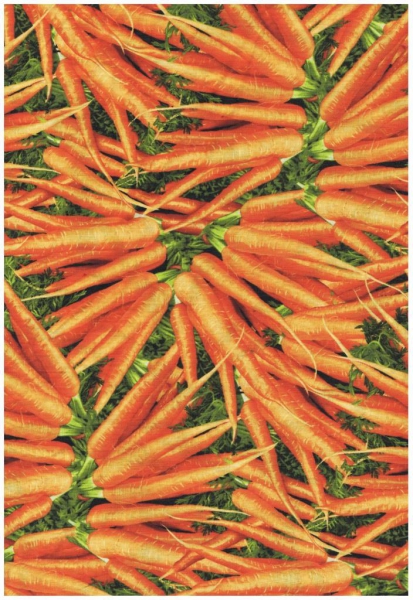 Farmers Market - Möhren - Kopie