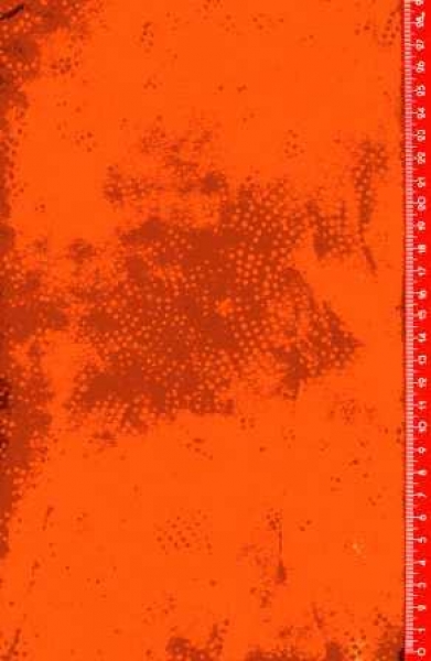 Princess Mirah Design Batik - Warm Brandy