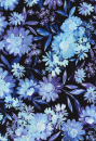 blauweisse Blüten