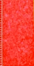 Colorwash - himbeerrot