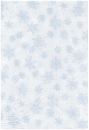 Forest Frost II